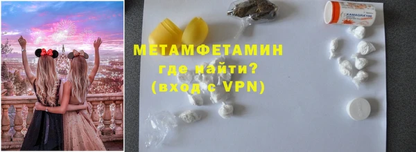 прущие грибы Верхний Тагил